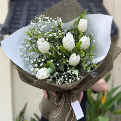 Bó hoa tulip trắng HB222