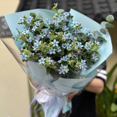 Blue Star Hope Bouquet HB223