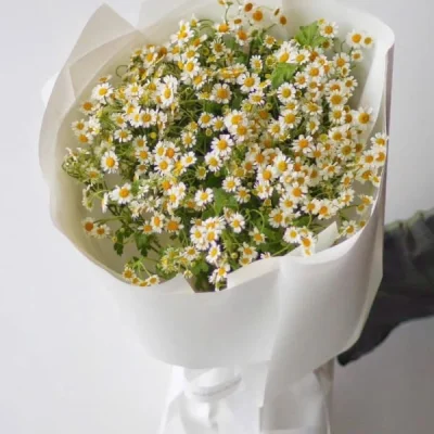 Gentle tana daisy bouquet HB224