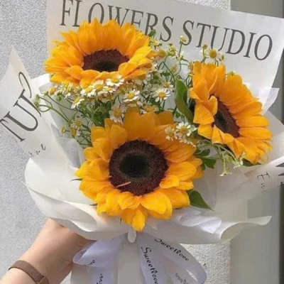 Sunflower bouquet HB229