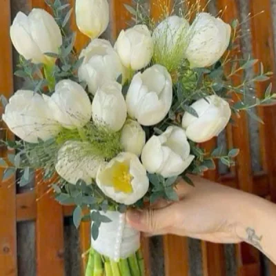 Bó hoa cưới Tulip trắng HC23