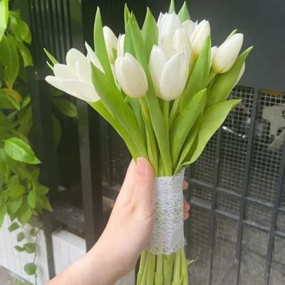Hoa cưới tulip trắng HC25