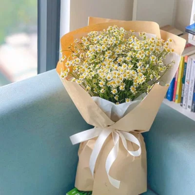 Chrysanthemum bouquet tana HB232