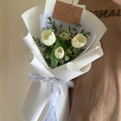 Mini tulip bouquet HB240