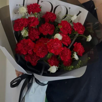 Luxurious red carnation bouquet HB241