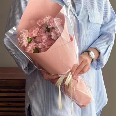 Small bouquet of carnations HB244