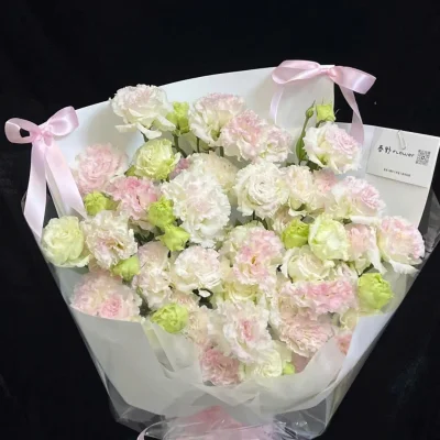 Bó hoa cát tường HB254