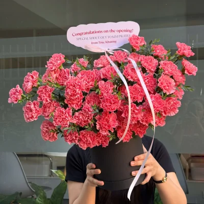 Pink congratulatory flower box, using high-quality imported carnations HH25