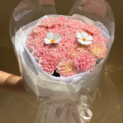 Bó hoa cẩm chướng hồng nhạt HB319