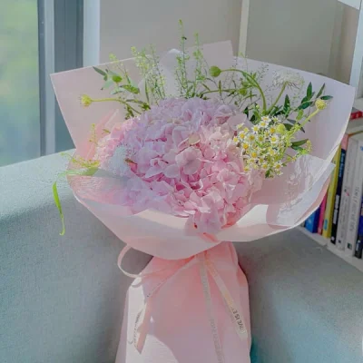 Bó hoa Cẩm tú Cầu Hồng Ngọt HB189