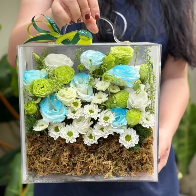 Hộp hoa mica sang trọng tone xanh lá HH24