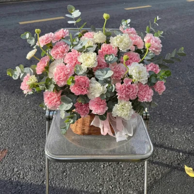 Giỏ hoa cẩm chướng mix HG46